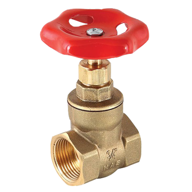 Eca 1'' Şiber Vana PN16