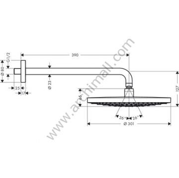 Hansgrohe Raindance Select S 300 2 Jet Tepe Duşu 390 mm Duş Dirseği İle